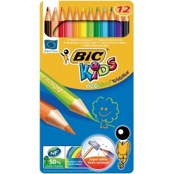 bic-boite-metal-de-12-crayons-de-couleur-evolution-1.jpg