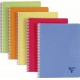 clairefontaine-cahier-linicolor-180-pages-5x5-1.jpg