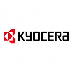 KYOCERA Développeur copieur numérique DV-CI7500B Noir 200 000 pages