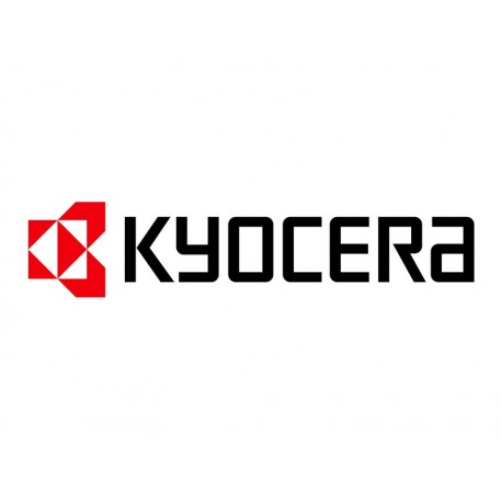 KYOCERA Toner copieur analogique TK-DC1001 Noir 1 250 pages
