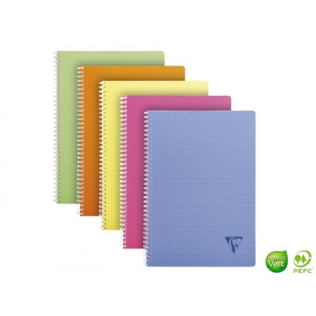 CLAIREFONTAINE Cahier Linicolor 100 pages 5x5