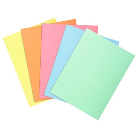 Lot de 250 sous-chemises pastel assortis (5 teintes)