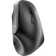 CHERRY Souris MW-4500 sans fil ergonomique USB noire