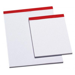 Bloc 100 feuillets 5 x 5 format 21 x 29,7 cm