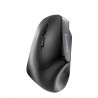 Souris CHERRY MW-4500 LEFT sans fil ergonomique noire