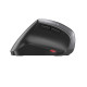 Souris CHERRY MW-4500 LEFT sans fil ergonomique noire