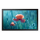 SAMSUNG Ecran 13'' LFD 16h 7j Full HD 1920x1080 300 cd m² HDMI USB Haut parleur 5W QB13R LH13QBREBGCXEN