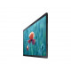 SAMSUNG Ecran 24'' LFD 16h 7j Full HD (1920x1080) 250cd m² Tizen 4.0 HDMI USB RS232 QB24R-B LH24QBRBBGCXEN