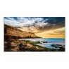 SAMSUNG Ecran 43'' LFD 4K QE43T 3840x2160 300cd m 2xHDMI USB 16h 7j Player Magi