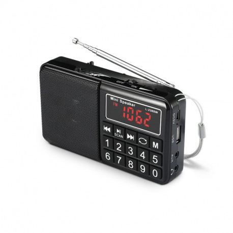 Radio grandes ondes AM / FM / SW - Lecteur USB / Micro SD batterie rechargeable - Noir