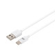 Câble USB-C USB plat USB 3.1 gen 2 - 1m - Blanc