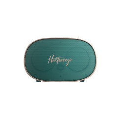 HALTERREGO Enceinte Bluetooth style rétro - Verte - Lecteur de carte micro SD, Aux in - Batterie rechargeable