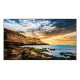 SAMSUNG Ecran 85'' - QE85T - LFD 4K - 2x HDMI - USB - Design fin