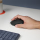 LOGITECH B170 souris sans fil - 910-004798