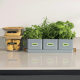 BROTHER PT-N20 Etiqueteuse portable pour la maison et le bureau