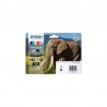 epson-multipack-elephant24xl-encres-claria-p-hd-ncmjccmc-557ml-1.jpg