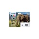 epson-multipack-elephant24xl-encres-claria-p-hd-ncmjccmc-557ml-2.jpg